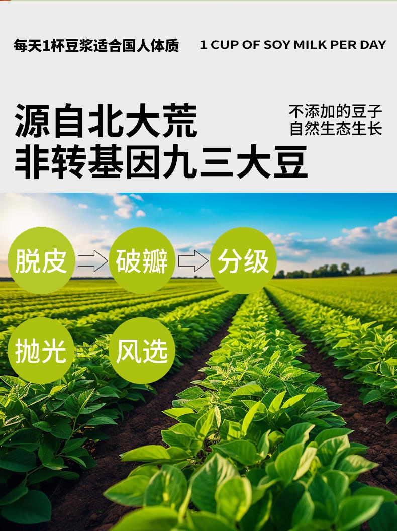 豆浆豆(新改）(1)_10.jpg