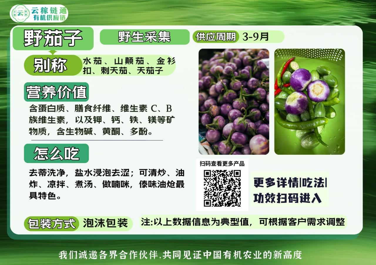 云稼链通有机野采产品手册野茄子.JPG