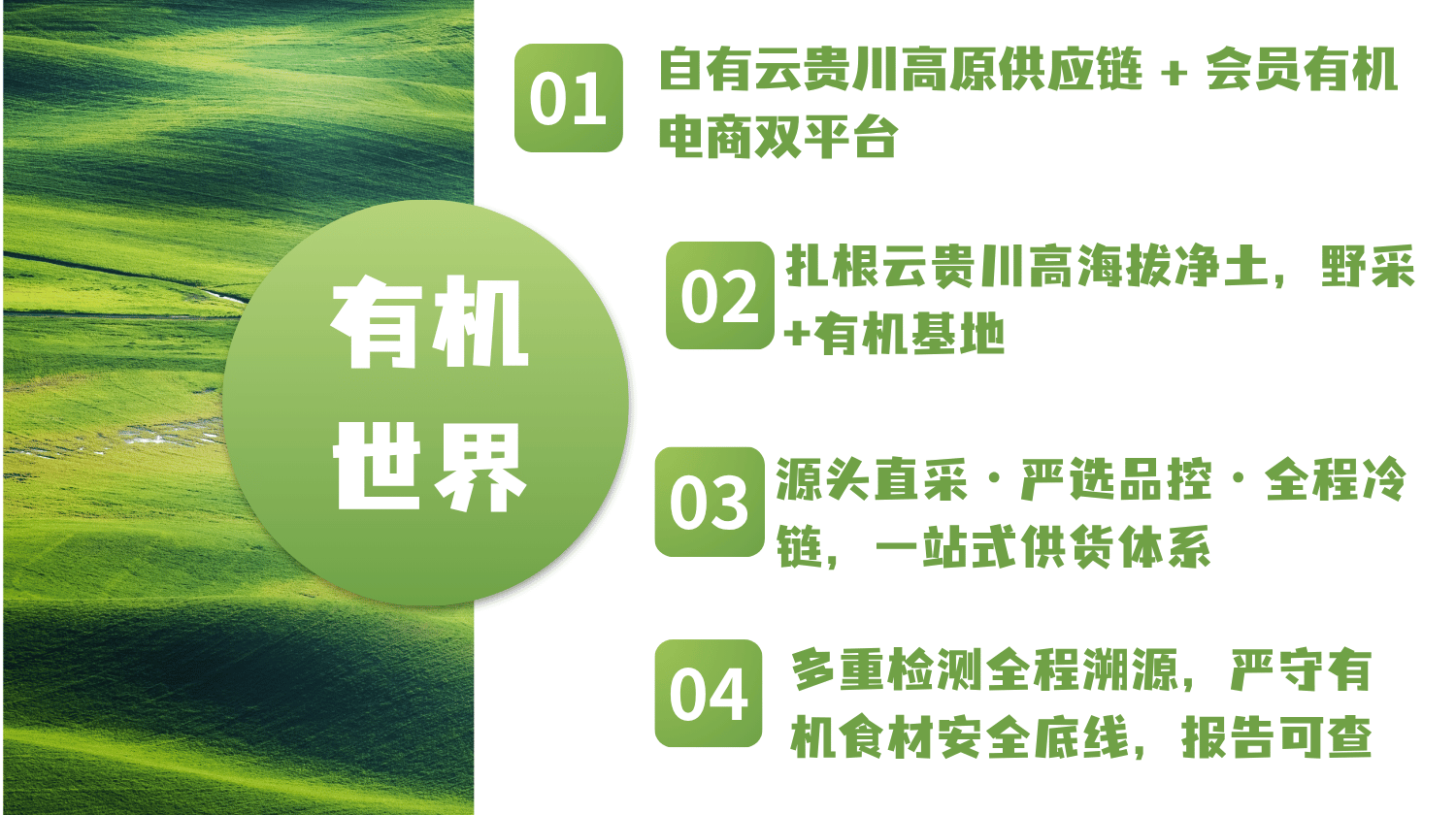 工巧天・有机世界 完整品牌介绍