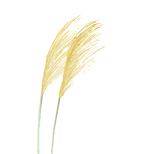 2025最新版《药食同源106种食材目录》建议收藏